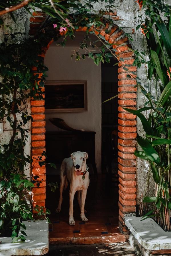 Hosteria Chata Adults Only Lo de Marcos Dış mekan fotoğraf
